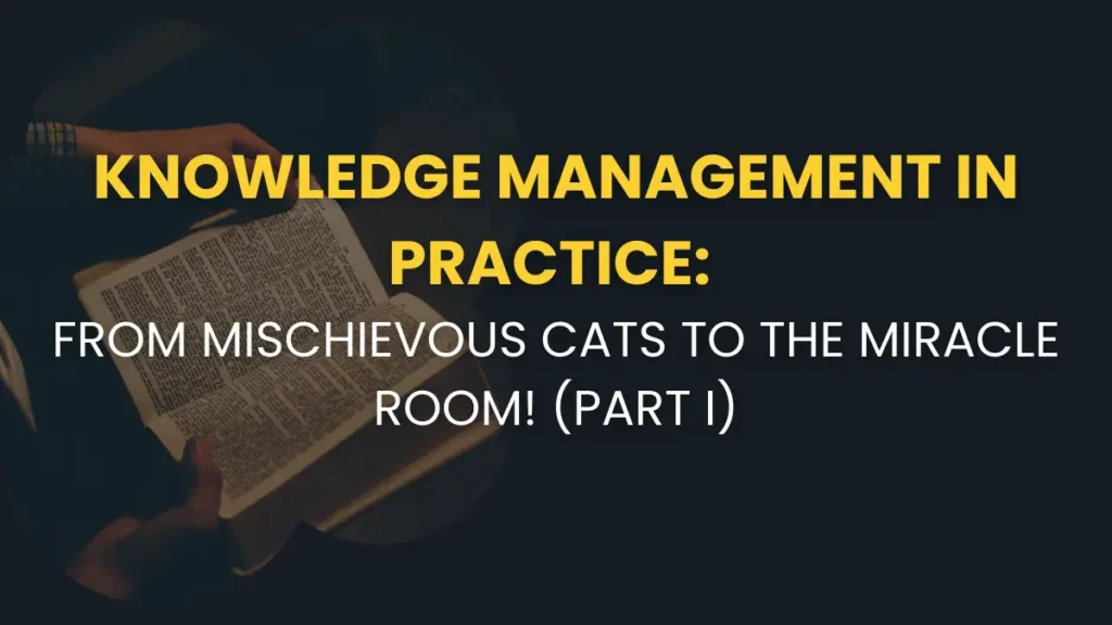Knowledge Management in Practice: From Mischievous Cats to the Miracle Room!